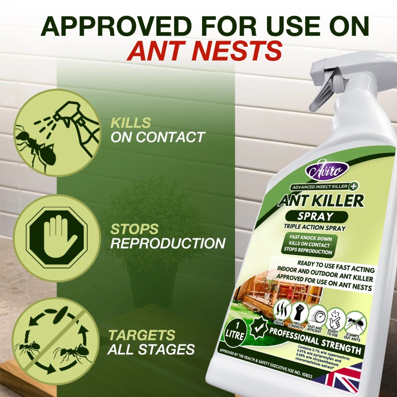 Best Dog Friendly Ant Killer