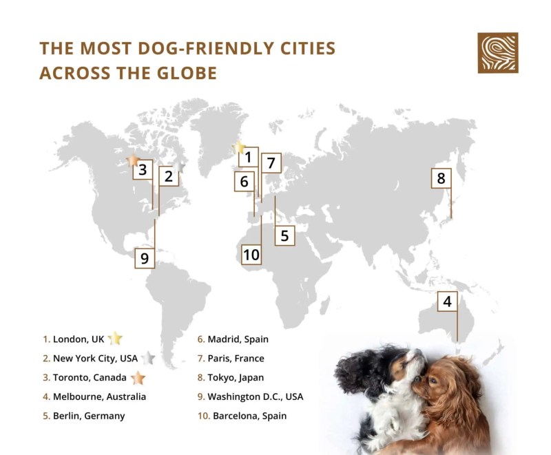 Best Dog Friendly Cities