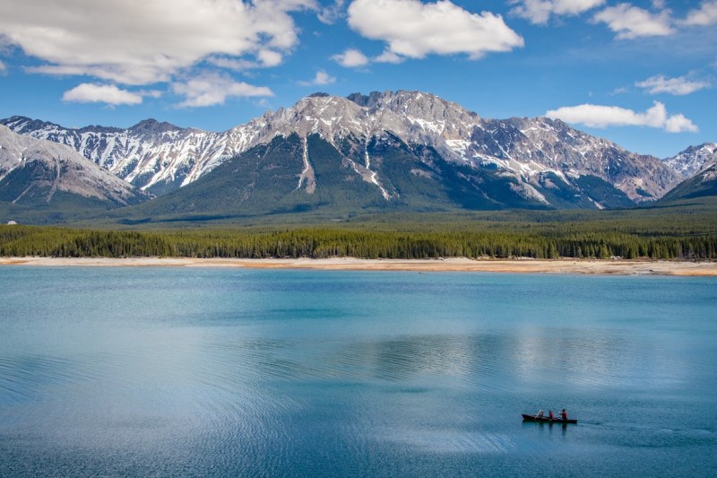 Best Dog Friendly Hikes Kananaskis