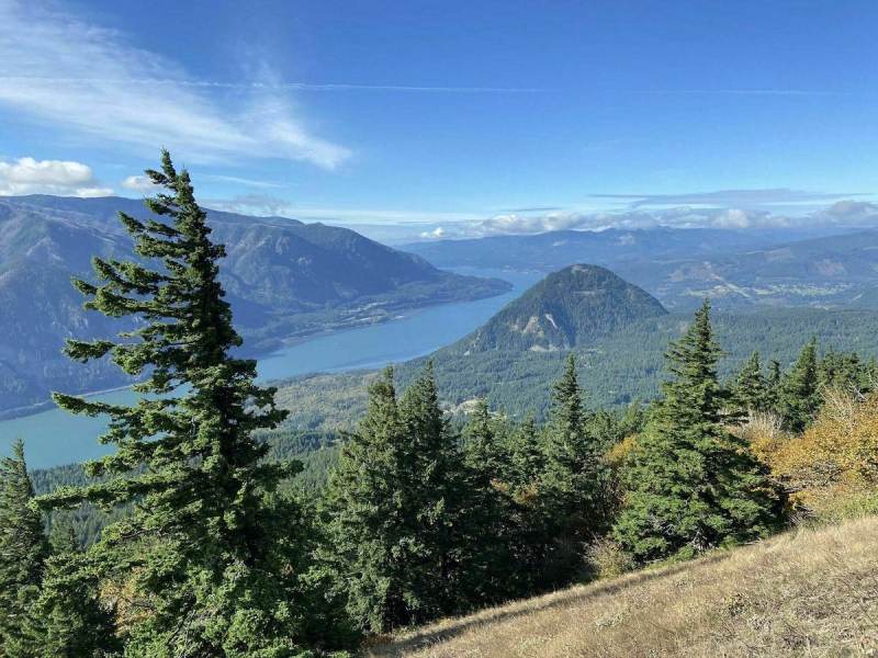 Best Dog Friendly Hikes Washington