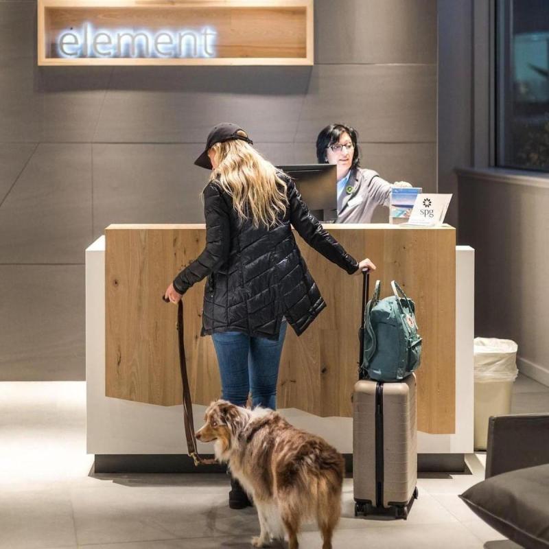 Best Dog Friendly Hotel Chains