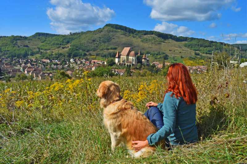 Best Dog Friendly Places Uk