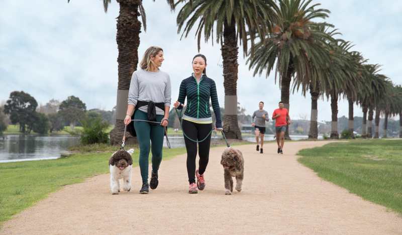 Best Dog Friendly Walks Melbourne