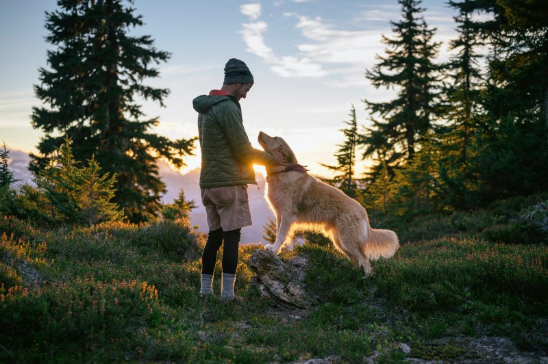 Best Hiking Vacations With Dogs