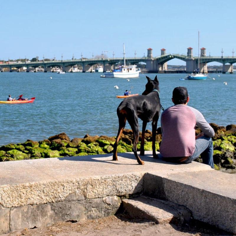 Dog Friendly Beaches On East Coast Of Florida