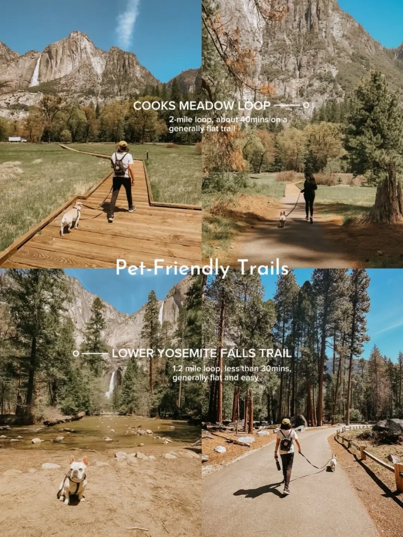 Dog Friendly Lodging Yosemite