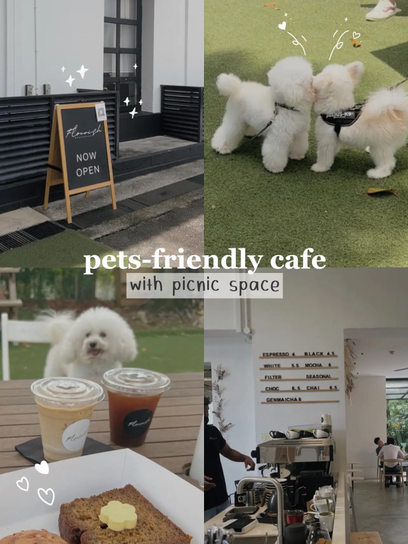 Dog Friendly Near Me Now