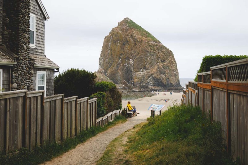 Pet Friendly Places To Stay On The Oregon Coast