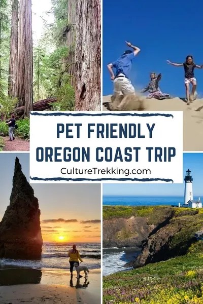 Pet Friendly Places To Stay Oregon Coast