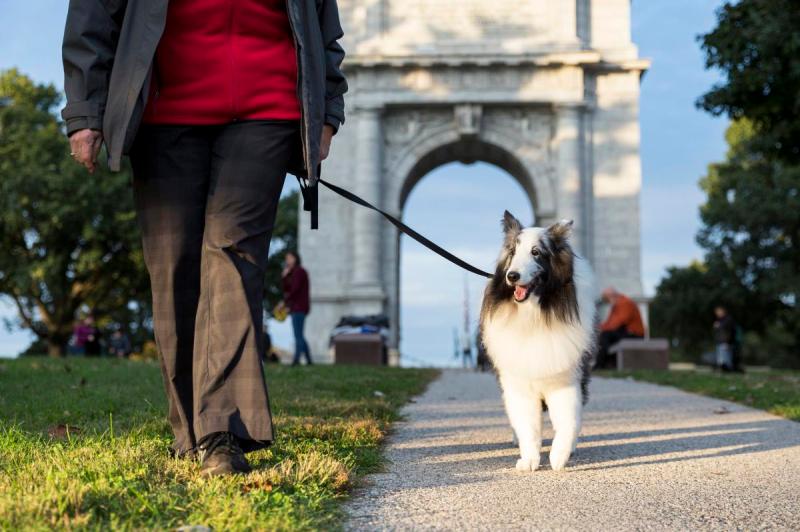 Pet Friendly Trip Planner