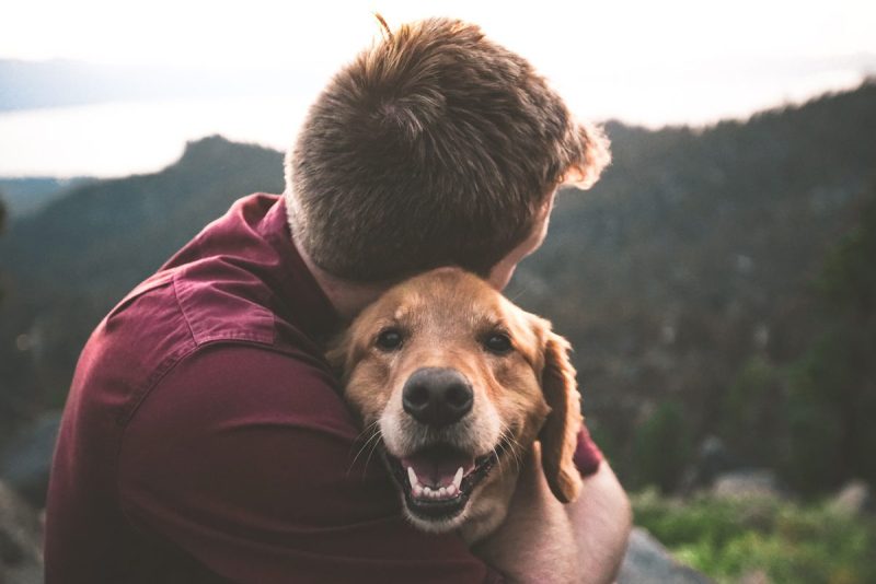 Vacations With Dogs In California