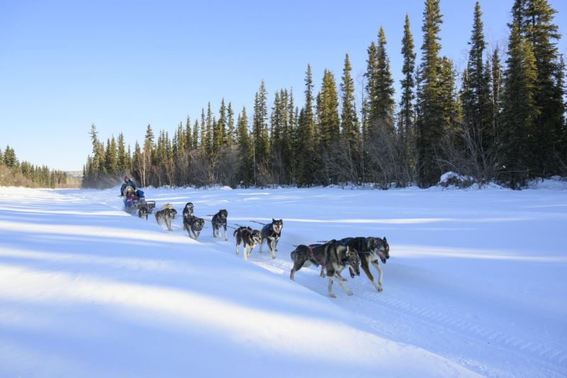 Winter Vacations With Dogs