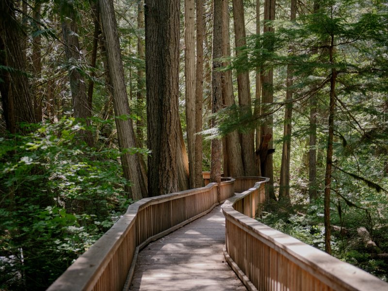 Best Day Hikes In Olympic National Park