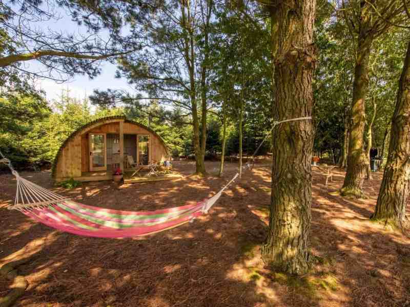 Best Dog Friendly Glamping