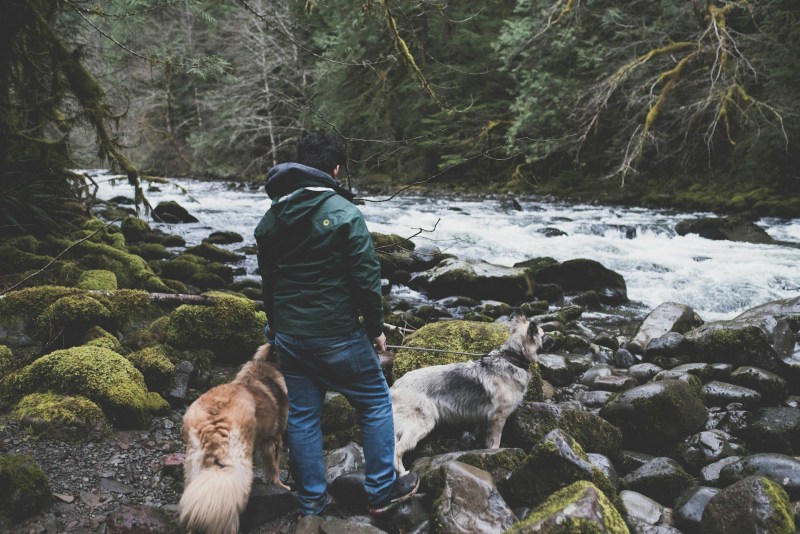 Best Dog Friendly Hiking Trails Near Me