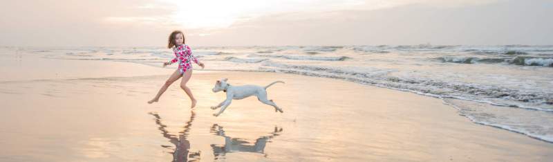 Best Dog Friendly Resorts Texas