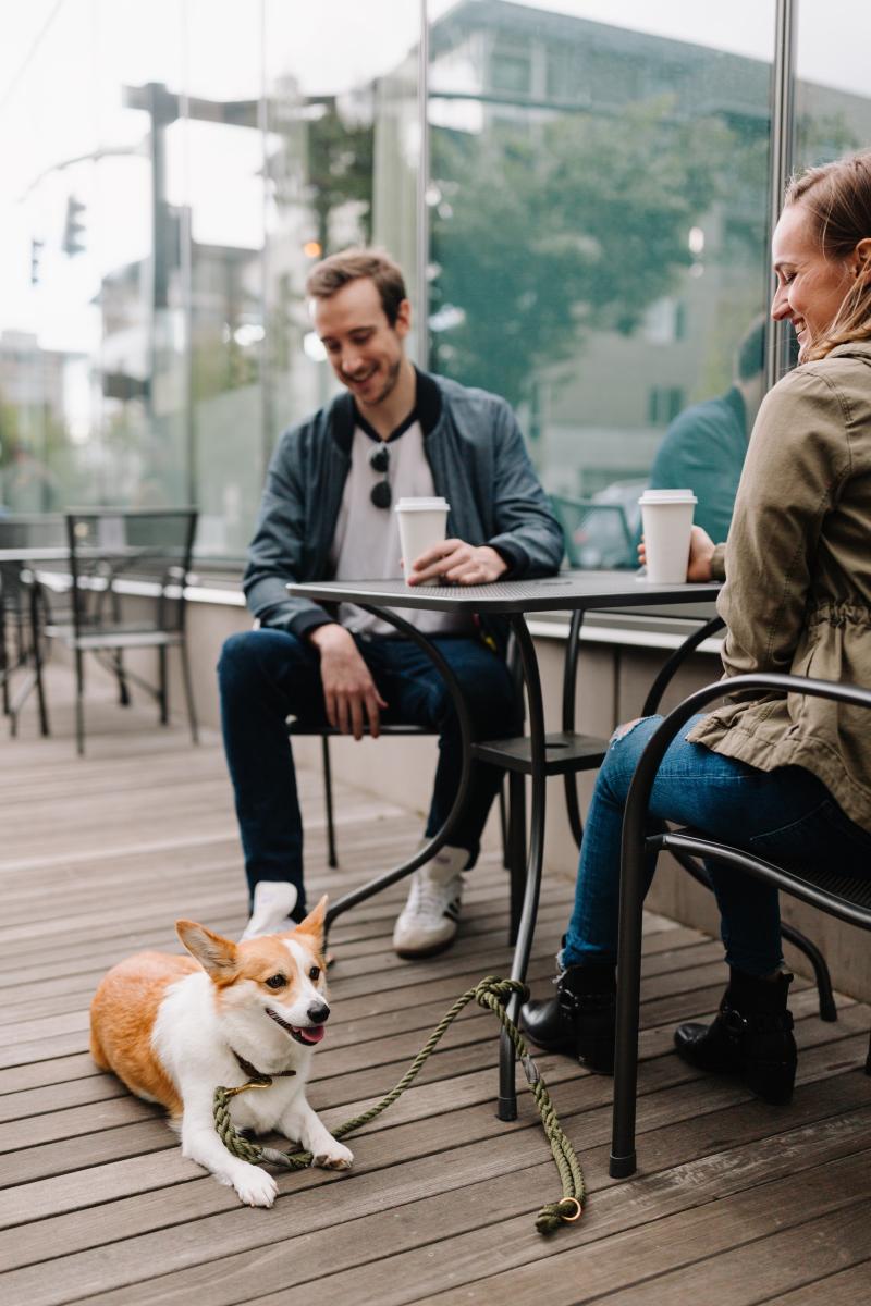 Best Dog Friendly Restaurants Dc