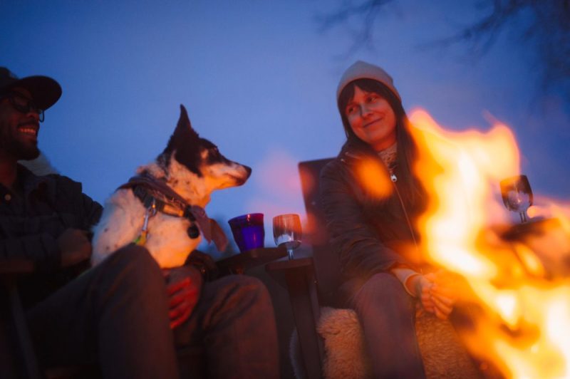 Best Dog Friendly Winter Vacations