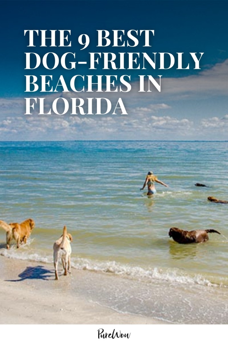 Best Vacations With Dogs East Coast