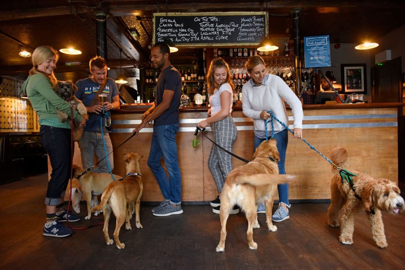 Dog Friendly Pubs Near Me Now