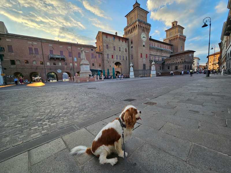 Dog Friendly Travel Europe