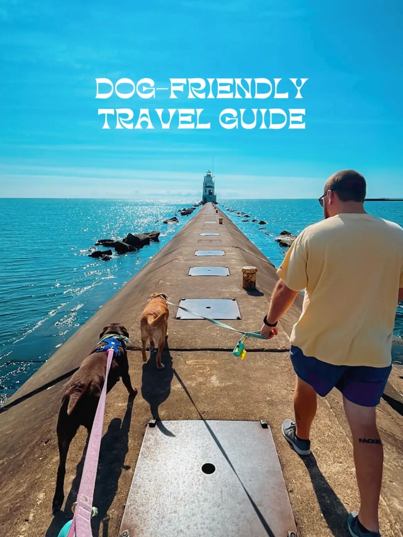 Dog Friendly Travel Guide