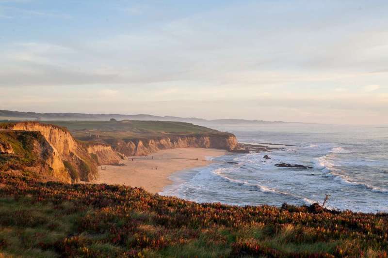 Dog Friendly Vacations In Northern California