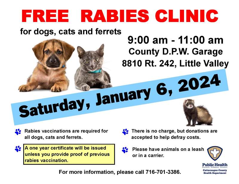 Dog Vaccinations Near Me