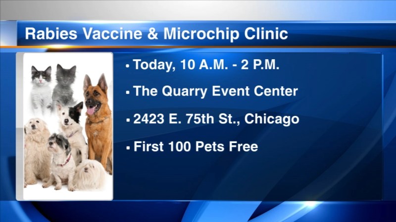 Dog Vaccine Clinic Near Me Free