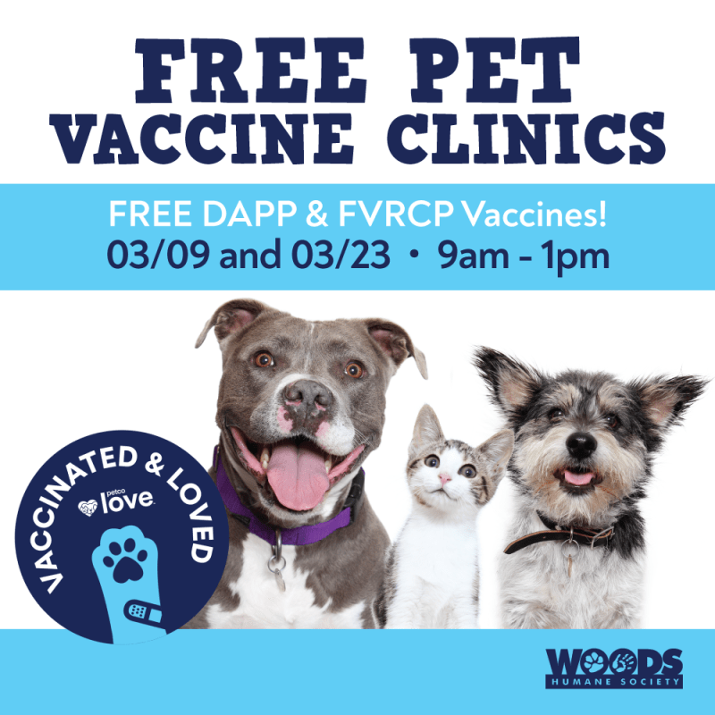 Low Cost Vaccines For Cats Near Me