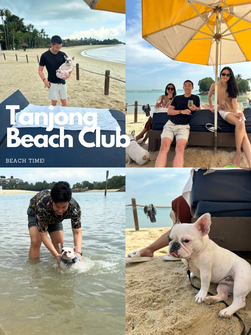 Pet Friendly Beach Vacations Near Me